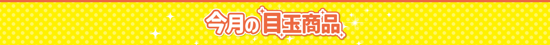 今月の目玉商品