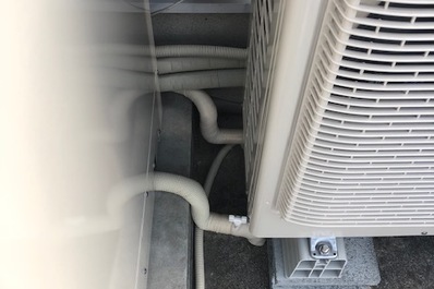 保温材を撒いてしっかり保温します。