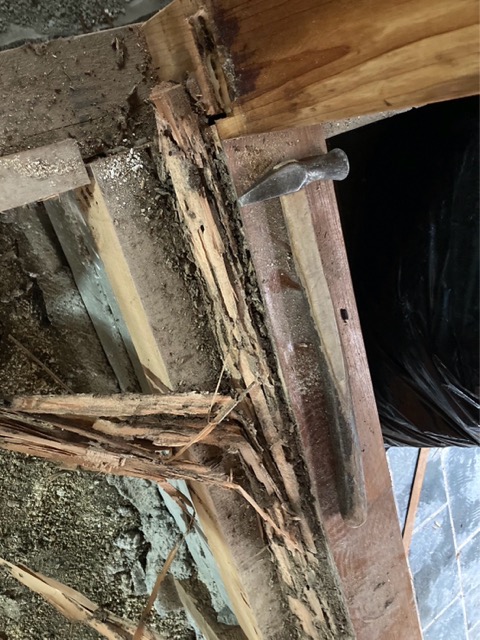 白蟻の被害がみられましたので駆除、予防を行いました。