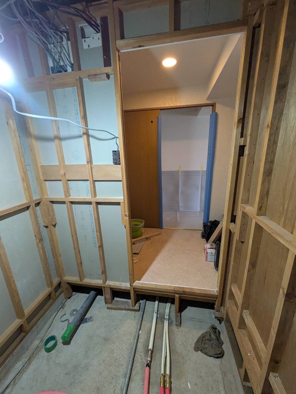 浴室側から見た脱衣洗面所です。右が洗面化粧台側です。